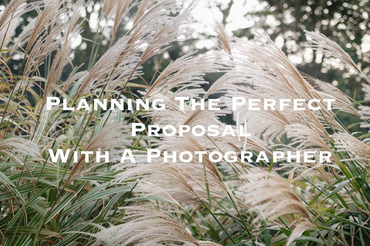 Planning The Perfect Proposal With a Photographer